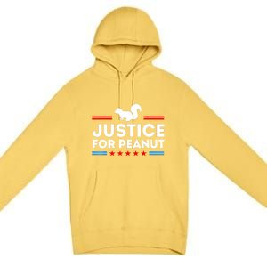 American Flag Justice For Peanut The Squirrels 2024 Gift Premium Pullover Hoodie