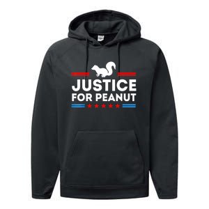 American Flag Justice For Peanut The Squirrels 2024 Gift Performance Fleece Hoodie