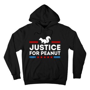 American Flag Justice For Peanut The Squirrels 2024 Gift Hoodie