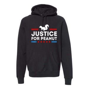 American Flag Justice For Peanut The Squirrels 2024 Gift Premium Hoodie