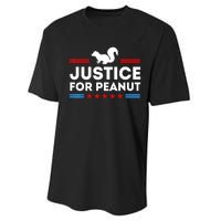 American Flag Justice For Peanut The Squirrels 2024 Gift Performance Sprint T-Shirt