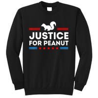 American Flag Justice For Peanut The Squirrels 2024 Gift Tall Sweatshirt