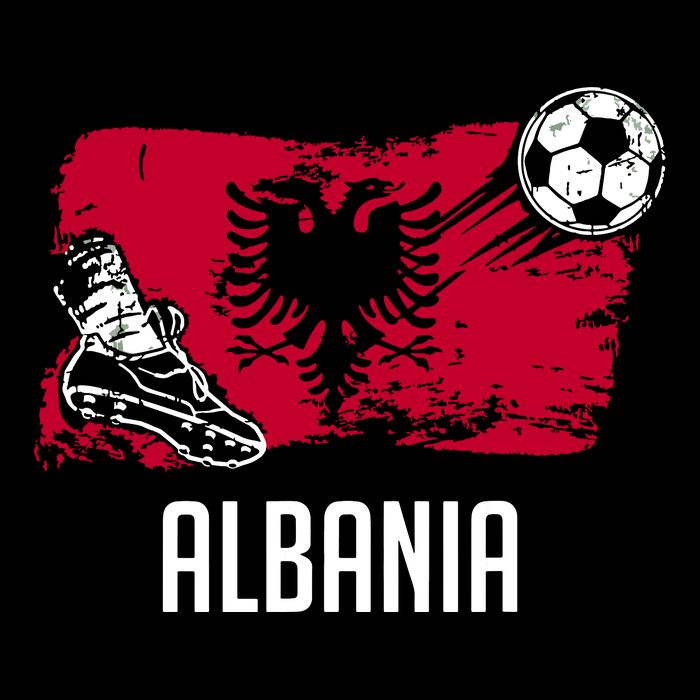 Albania Flag Jersey Albanian Soccer Team Albanian Sustainable Bucket Hat