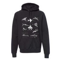 American Fighters Jets F22 Raptor F14 Tomcat Plane Spotting Premium Hoodie