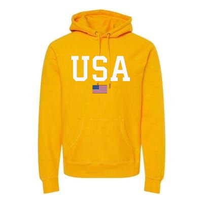 American Flag July 4th Celebration Show Your Patriotism! Premium Hoodie