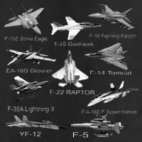 American Fighters Jets F22 Raptor F14 Tomcat Plane Microfiber Hand Towel