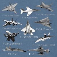 American Fighters Jets F22 Raptor F14 Tomcat Plane Garment-Dyed Sweatshirt