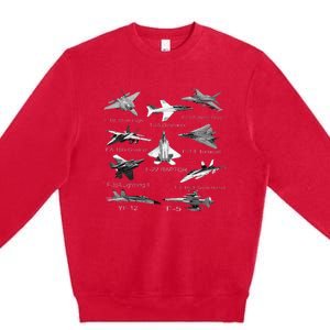 American Fighters Jets F22 Raptor F14 Tomcat Plane Premium Crewneck Sweatshirt