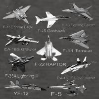 American Fighters Jets F22 Raptor F14 Tomcat Plane Vector Backpack