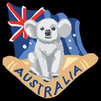 Australia Flag Koala Boomerang Toddler T-Shirt