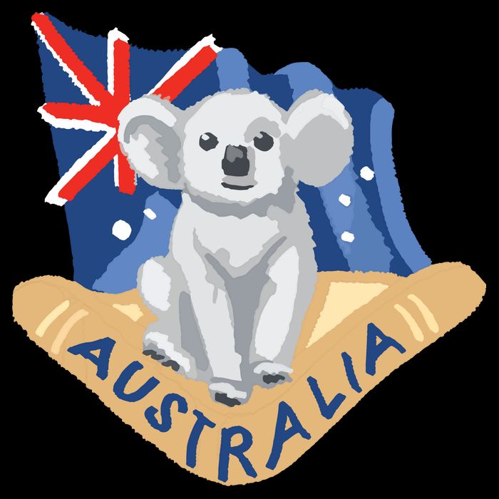 Australia Flag Koala Boomerang Toddler T-Shirt