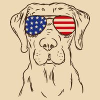 American Flag Labrador Retriever Patriotic 4th Of July Gifts Drawstring Bag