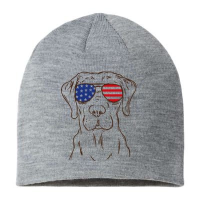 American Flag Labrador Retriever Patriotic 4th Of July Gifts Sustainable Beanie