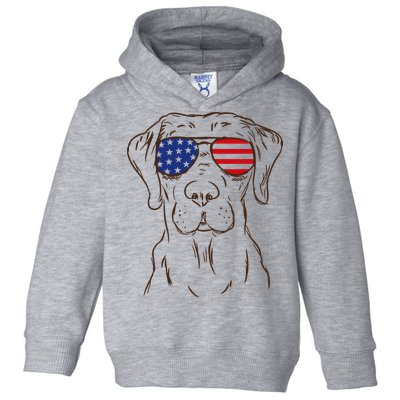 American Flag Labrador Retriever Patriotic 4th Of July Gifts Toddler Hoodie