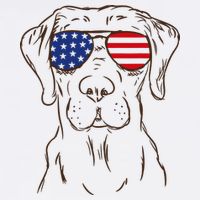 American Flag Labrador Retriever Patriotic 4th Of July Gifts 11oz C Handle Ceramic Mug