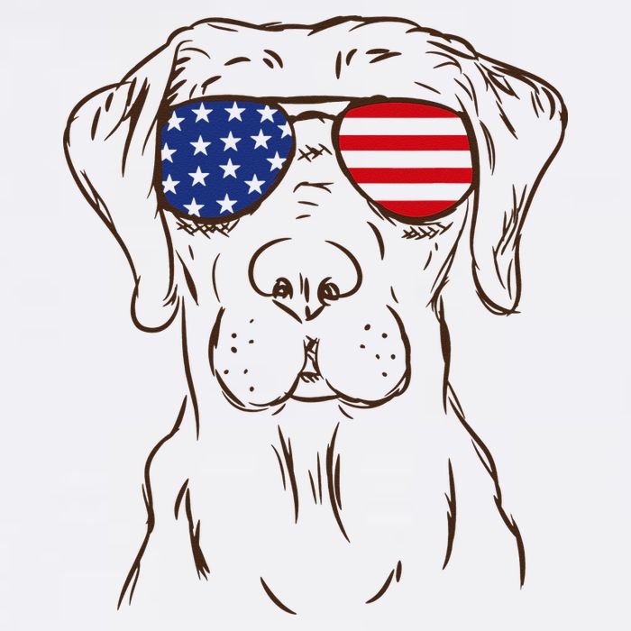 American Flag Labrador Retriever Patriotic 4th Of July Gifts 11oz C Handle Ceramic Mug