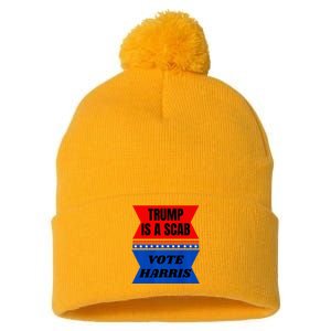 Antitrump Fun Laundry Detergent Vote Harris 2024 Election Pom Pom 12in Knit Beanie