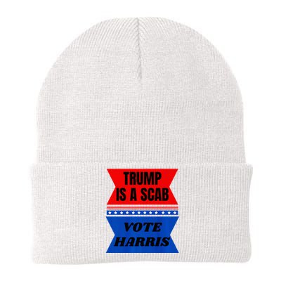 Antitrump Fun Laundry Detergent Vote Harris 2024 Election Knit Cap Winter Beanie