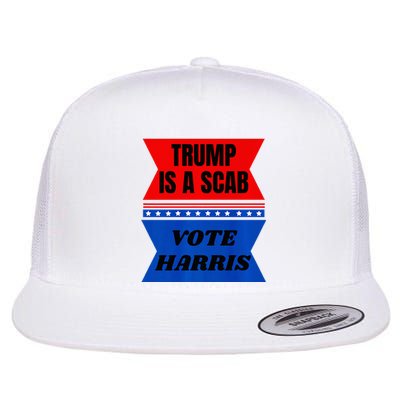 Antitrump Fun Laundry Detergent Vote Harris 2024 Election Flat Bill Trucker Hat