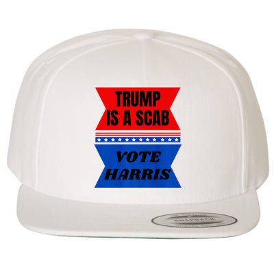 Antitrump Fun Laundry Detergent Vote Harris 2024 Election Wool Snapback Cap