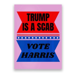 Antitrump Fun Laundry Detergent Vote Harris 2024 Poster