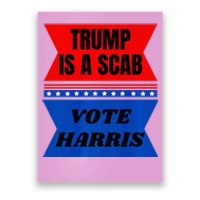 Antitrump Fun Laundry Detergent Vote Harris 2024 Poster