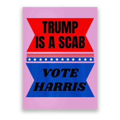 Antitrump Fun Laundry Detergent Vote Harris 2024 Poster