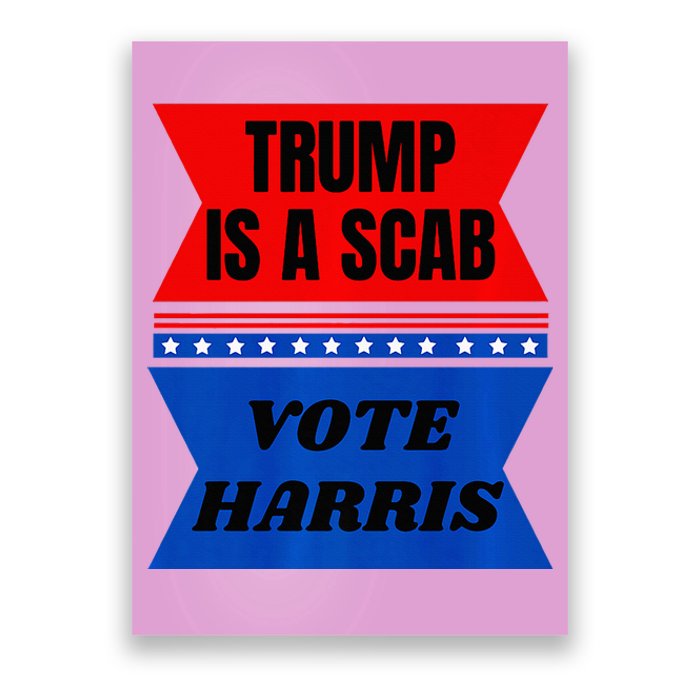 Antitrump Fun Laundry Detergent Vote Harris 2024 Poster