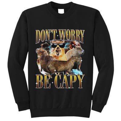 Animals Funny Meme DonT Worry Be Capy Capybara Moon Feral Sweatshirt