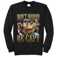Animals Funny Meme DonT Worry Be Capy Capybara Moon Feral Sweatshirt