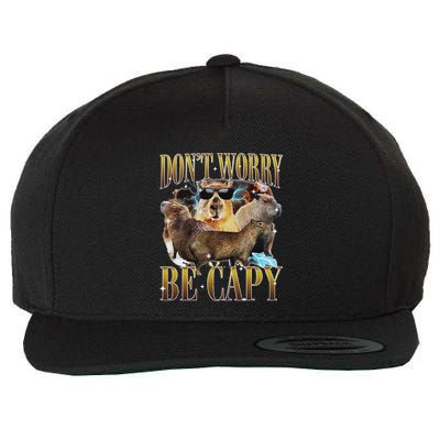 Animals Funny Meme DonT Worry Be Capy Capybara Moon Feral Wool Snapback Cap