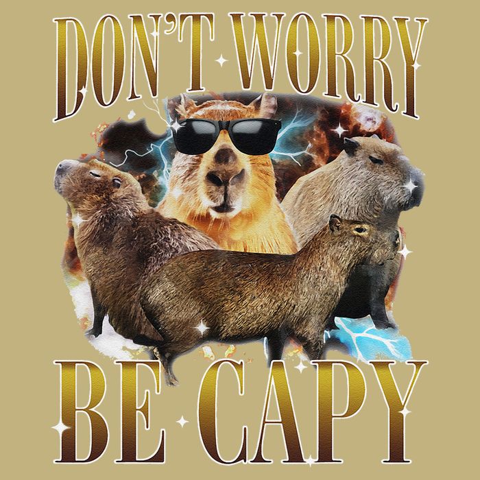 Animals Funny Meme DonT Worry Be Capy Capybara Moon Feral Performance Shirt