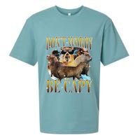 Animals Funny Meme DonT Worry Be Capy Capybara Moon Feral Sueded Cloud Jersey T-Shirt