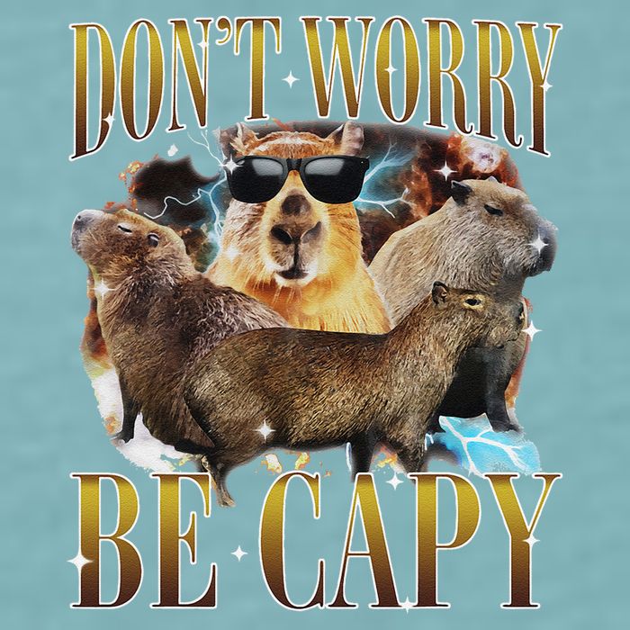 Animals Funny Meme DonT Worry Be Capy Capybara Moon Feral Sueded Cloud Jersey T-Shirt