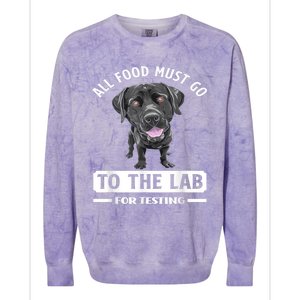 All Food Must Go To The Lab For Testing Funny Labrador Colorblast Crewneck Sweatshirt