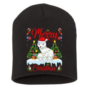 Arctic Fox Merry Christmas Tree Lighting Arctic Fox Xmas Short Acrylic Beanie