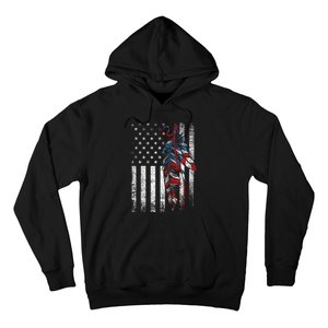 American Flag Native Feather Pride Month Indigenous Hoodie