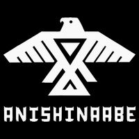 Anishinaabe First Nations Thunderbird Ojibwe Indigenous Cooling Performance Crew T-Shirt