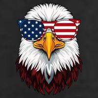 American Flag Patriotic Eagle 4th Of July Adult Drive Performance Visor