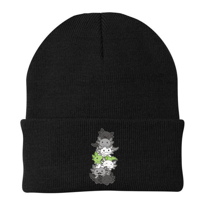 Agender Flag Pride Month Lgbtq Agender Axolotl Beanie