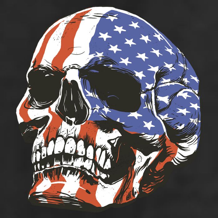 American Flag Patriotic Skull Adult Drive Performance Visor