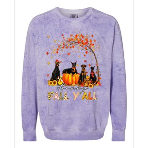 Autumn Fall Pumpkin Truck Thanksgiving Doberman Dog Colorblast Crewneck Sweatshirt