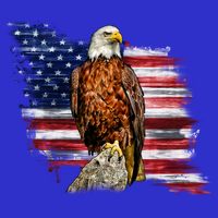 American Flag Patriotic Eagle Vintage Hoodie