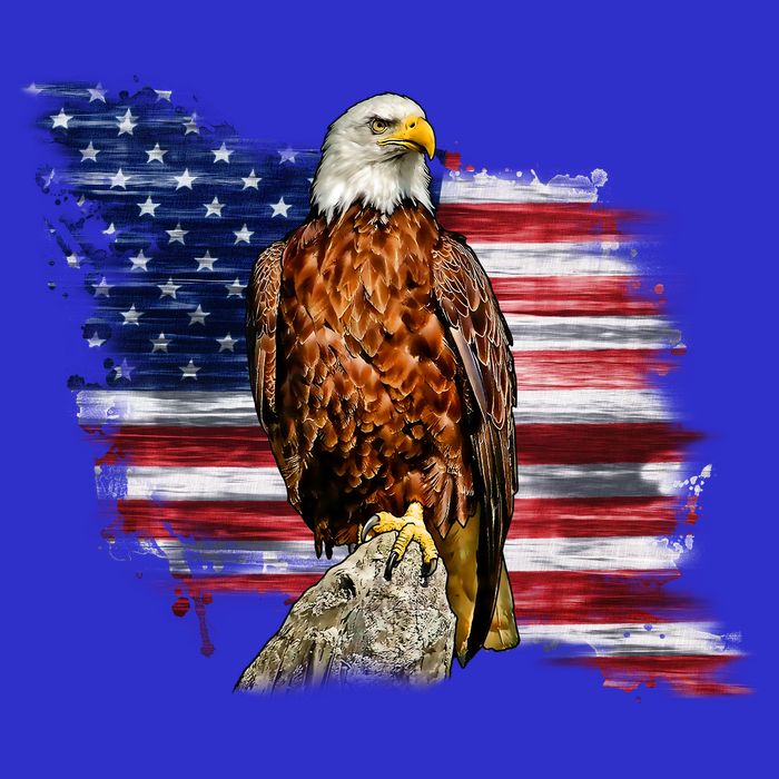 American Flag Patriotic Eagle Vintage Hoodie