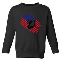 America Flag Patriotic Eagle Toddler Sweatshirt