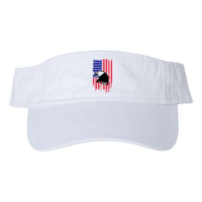 America Flag Patriotic Eagle Valucap Bio-Washed Visor