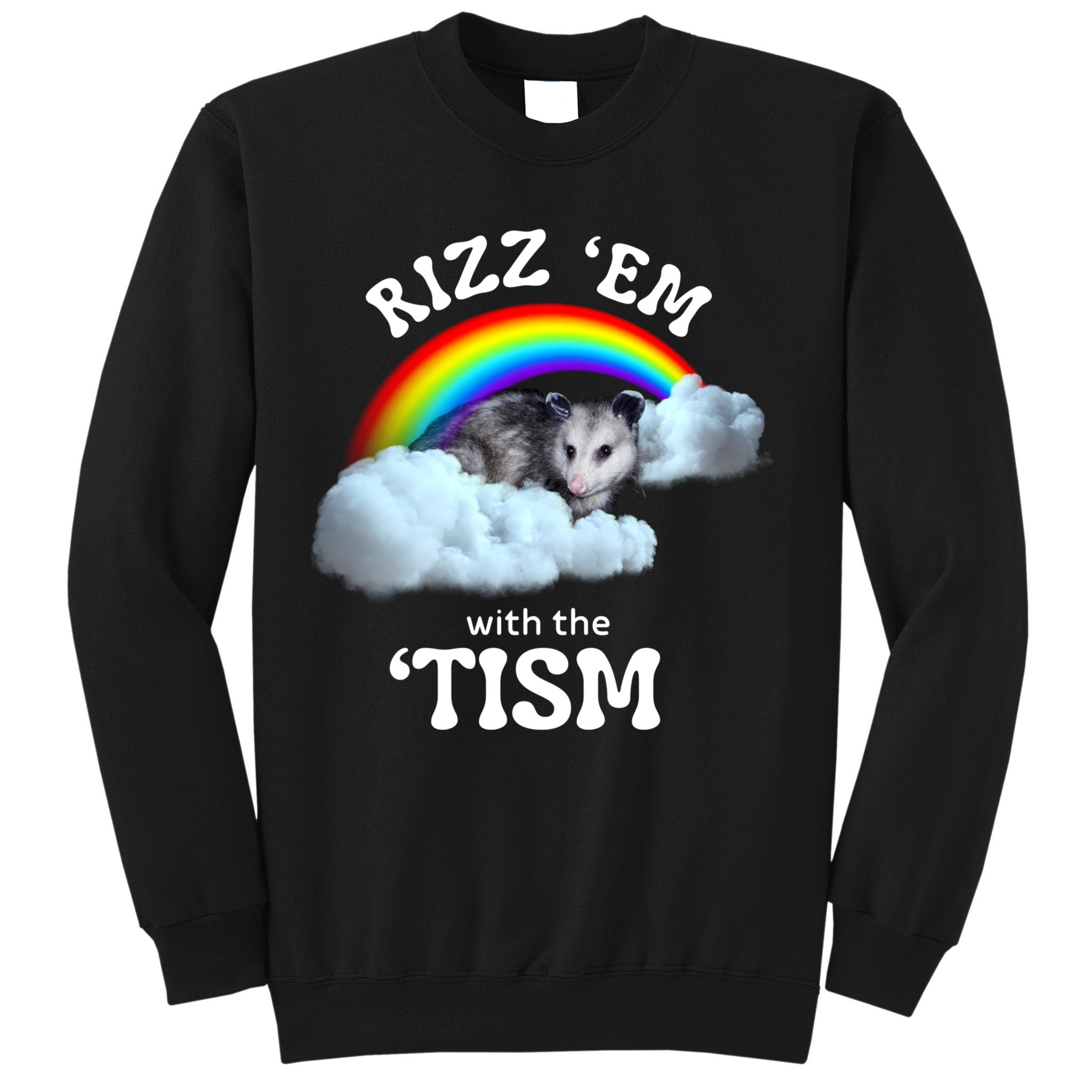 Autism Funny Rizz Em With The Tism Meme Autistic Opossum Sweatshirt