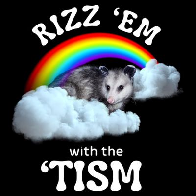 Autism Funny Rizz Em With The Tism Meme Autistic Opossum T-Shirt
