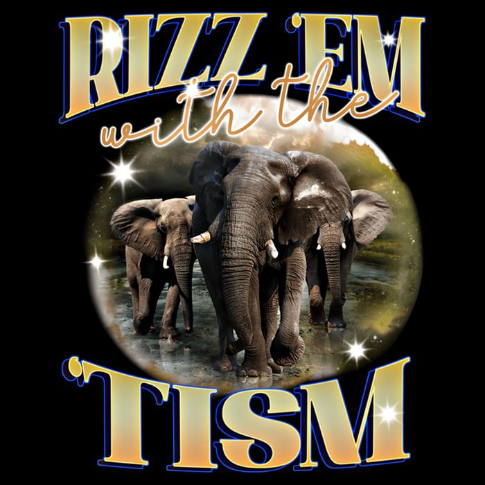 Autism Funny Rizz Em With The Tism Meme Autistic Elephant Cool Gift Drawstring Bag