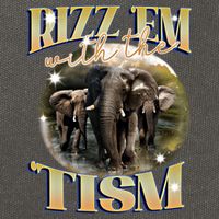 Autism Funny Rizz Em With The Tism Meme Autistic Elephant Cool Gift Cotton Canvas Backpack